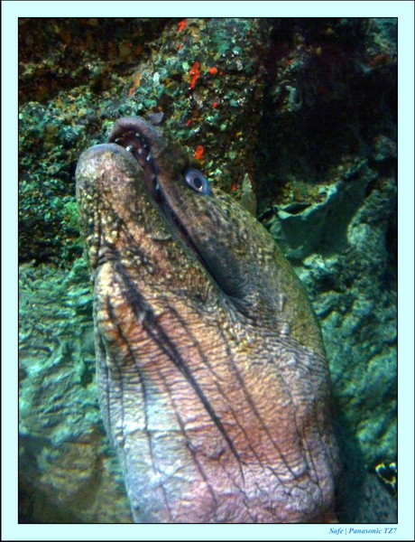 2009   07   Bangkok 08